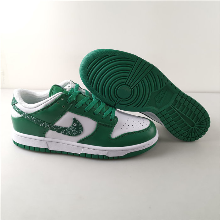 Nike Dunk Low SB DH4401-102