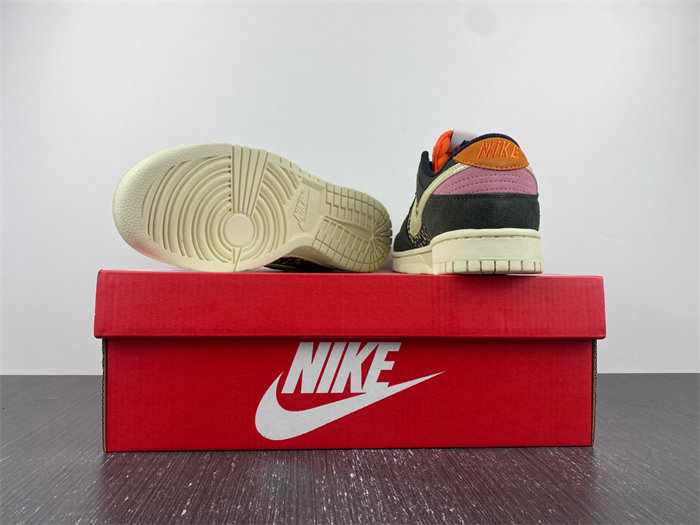 Nike Dunk Low Rainbow Trout FH7523-300