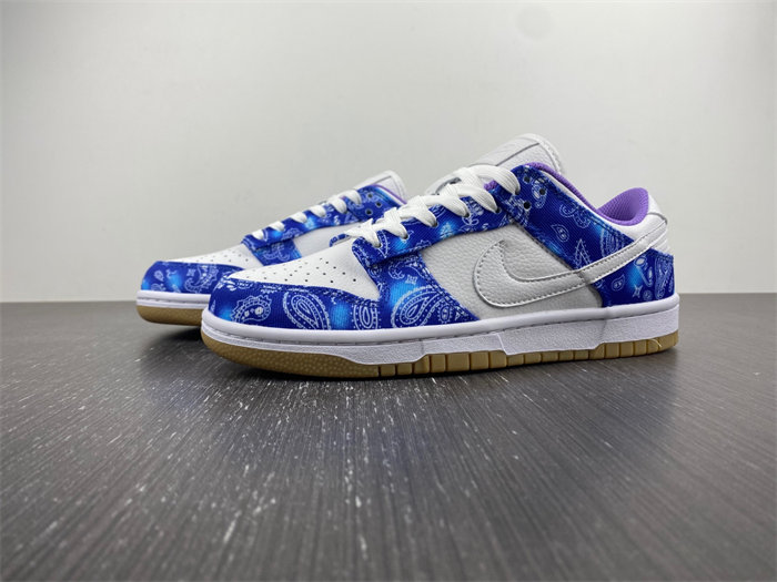 Nike SB Dunk Low Retro SP CT5053-041