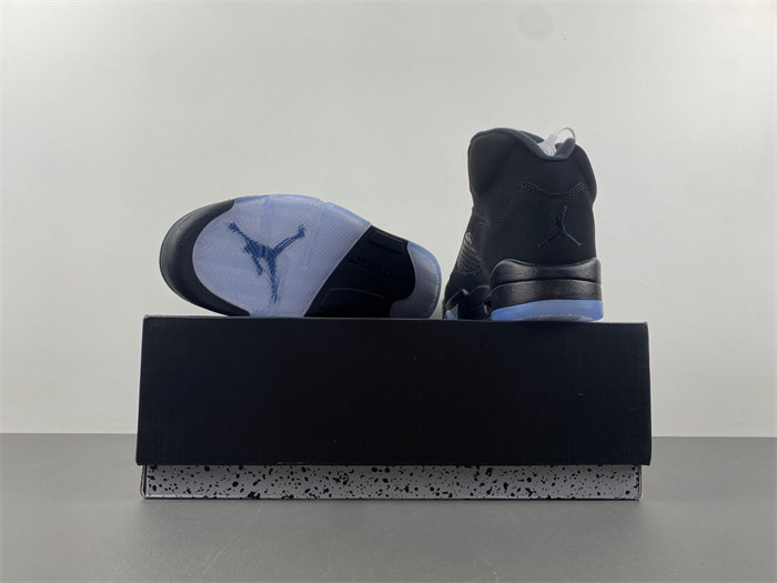 Air Jordan 5 “Black Cat FZ2239-001