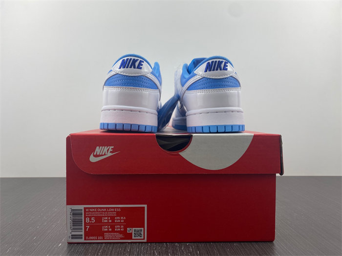 Nike Dunk Low Reverse UNC DJ9955-101