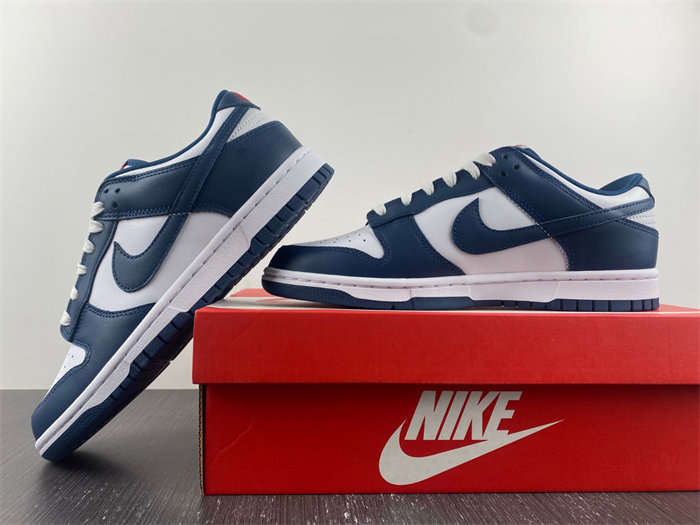 Nike Dunk Low Valerian Blue DD1391-400