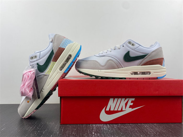 Nike Air Max 1 “All Petals United” FQ0256-131