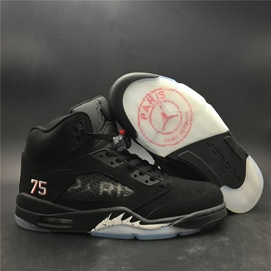 Air Jordan 5 “Paris” 2018 FIFA 3M