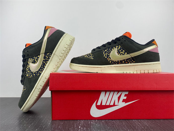 Nike Dunk Low Rainbow Trout FH7523-300