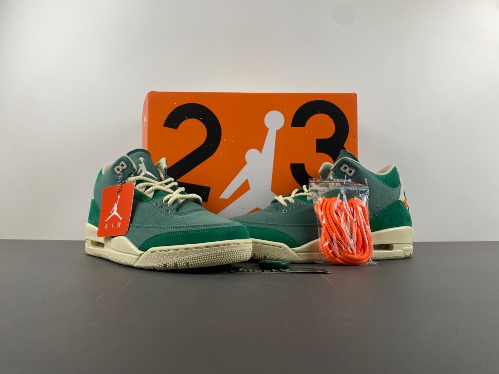 nina Ch*el abney x air jordan 3 og sp wmns