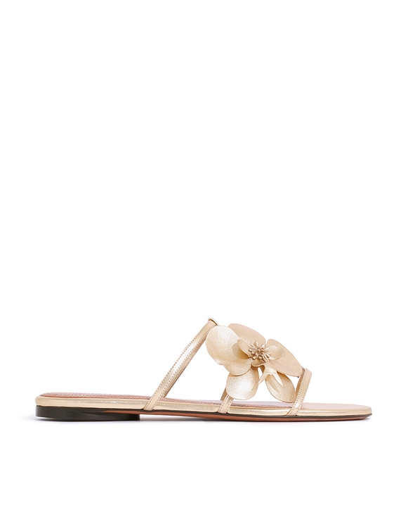 Orchid Slide