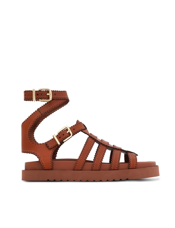 Goldie Gladiator