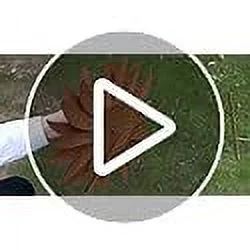 Metal Sunflower Garden Stakes Decor Outdoor Flower Yard Stakes Large Metal Sunflowers Yard Art Decorative Metal Flowers Garden Stakes Lawn Ornaments Garden Decor (36 Inches Tall)