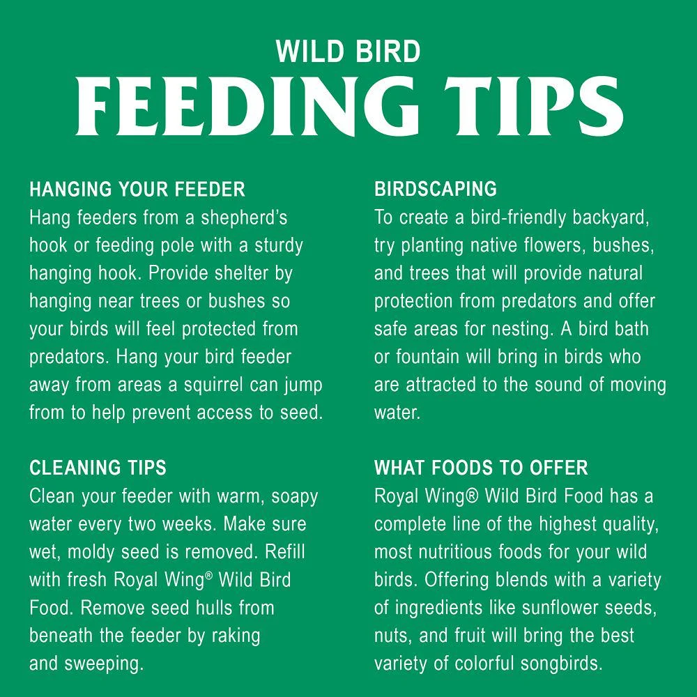 Royal Wing Grey-Striped Sunflower Wild Bird Food, 20 lb.