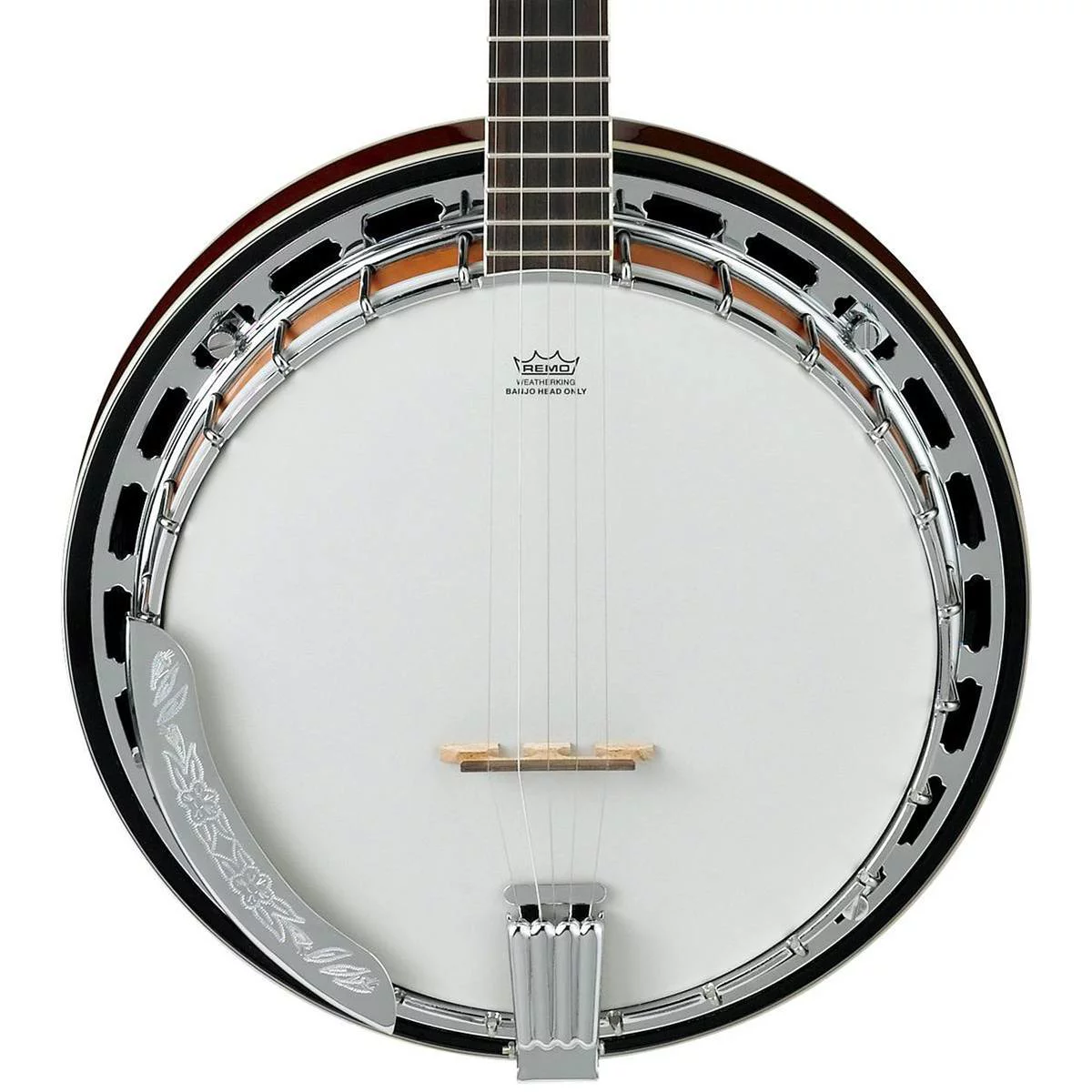 Ibanez B200 5-String Banjo
