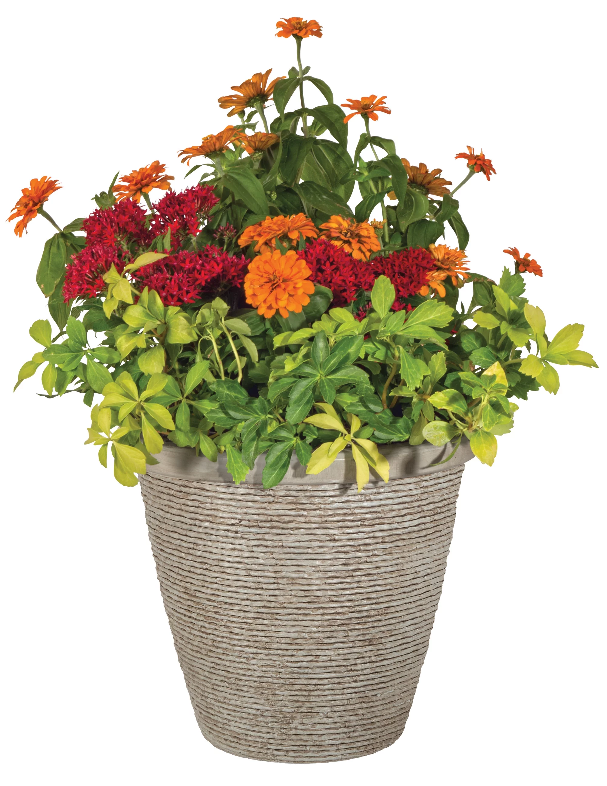 Suncast Chariton 16 Inch Resin Round Decorative Flower Pot Planter (2 Pack)