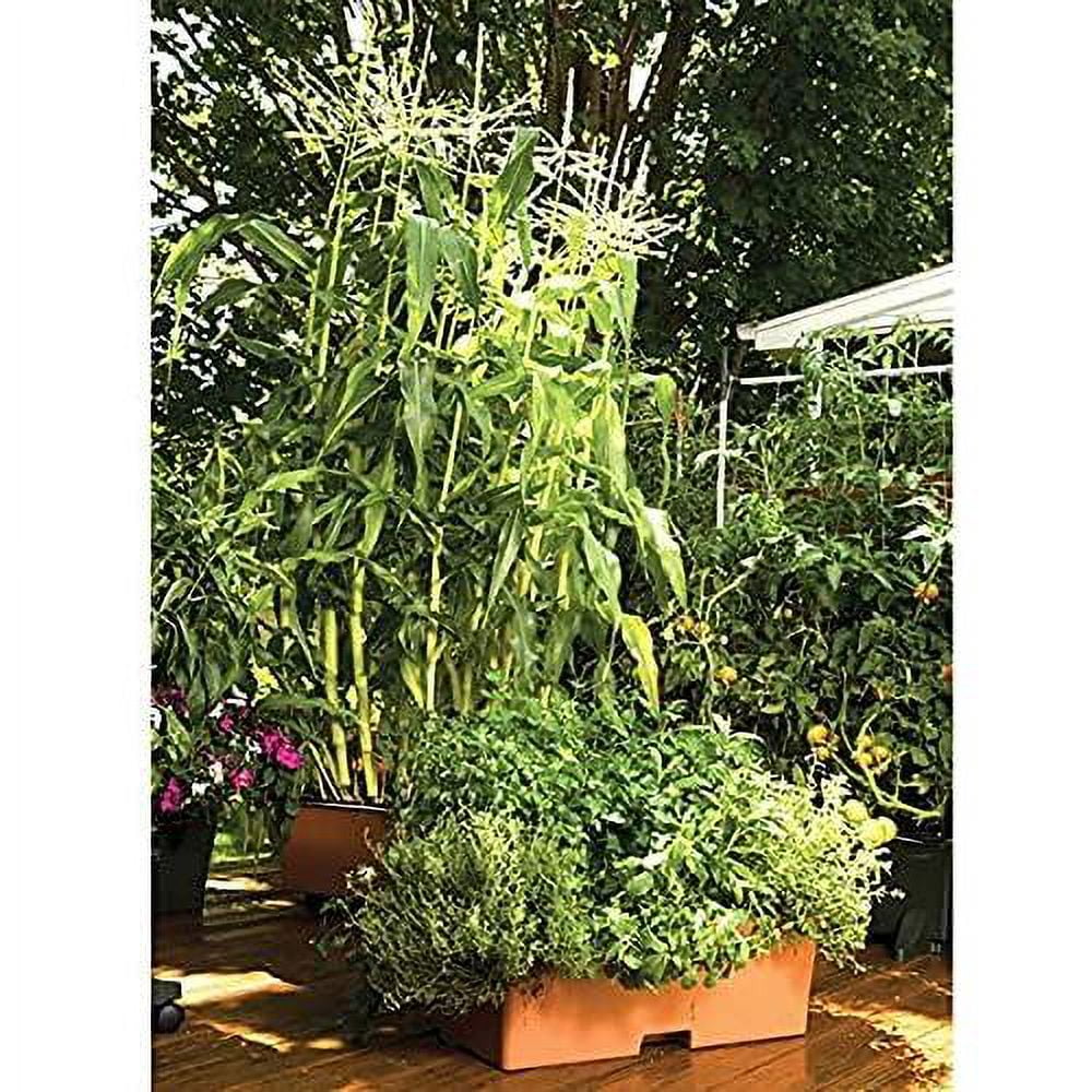 garden kit,terracotta (pack of 2, standard)