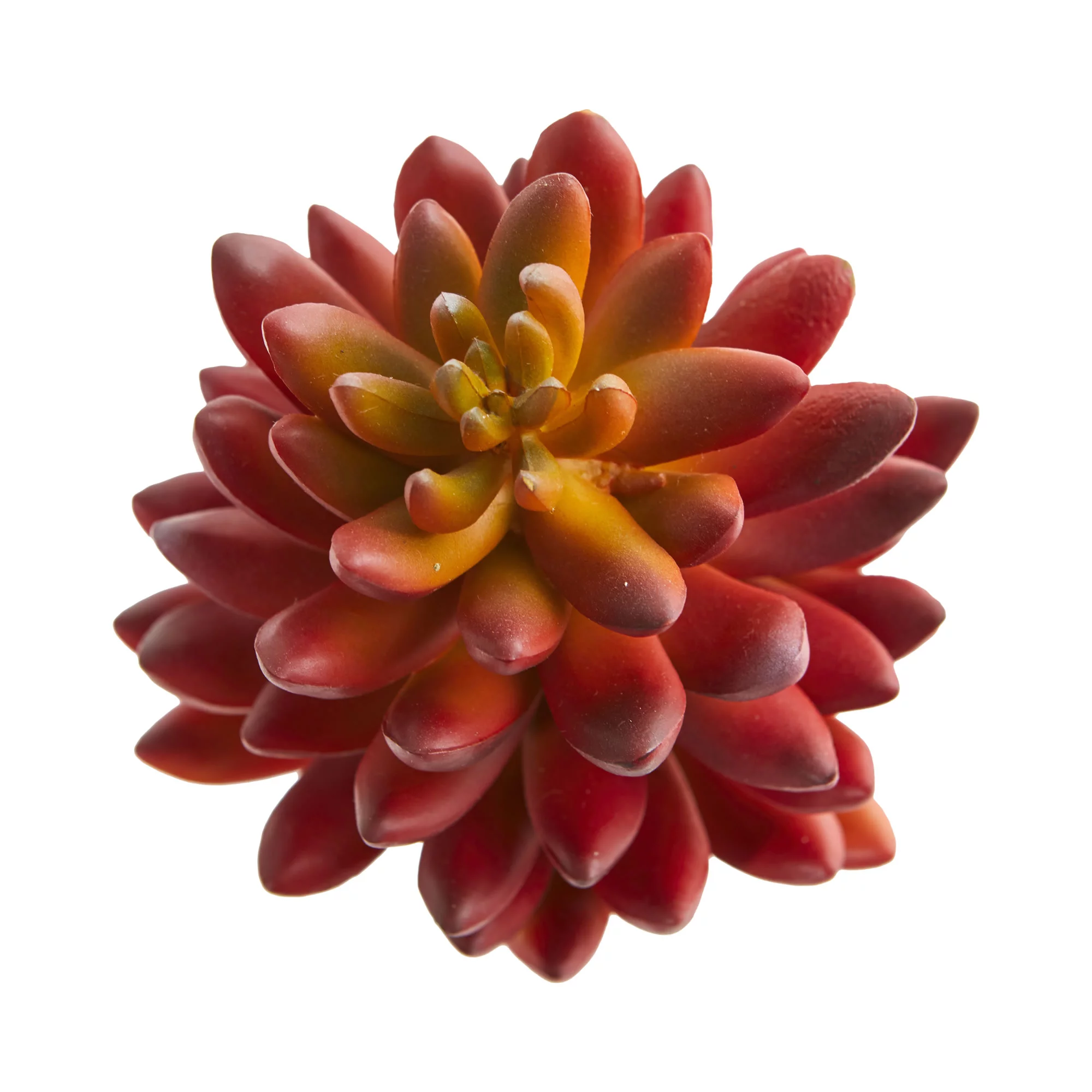 Nearly Natural 7.5in. Succulent Artificial Plant (Set of 6), Orange