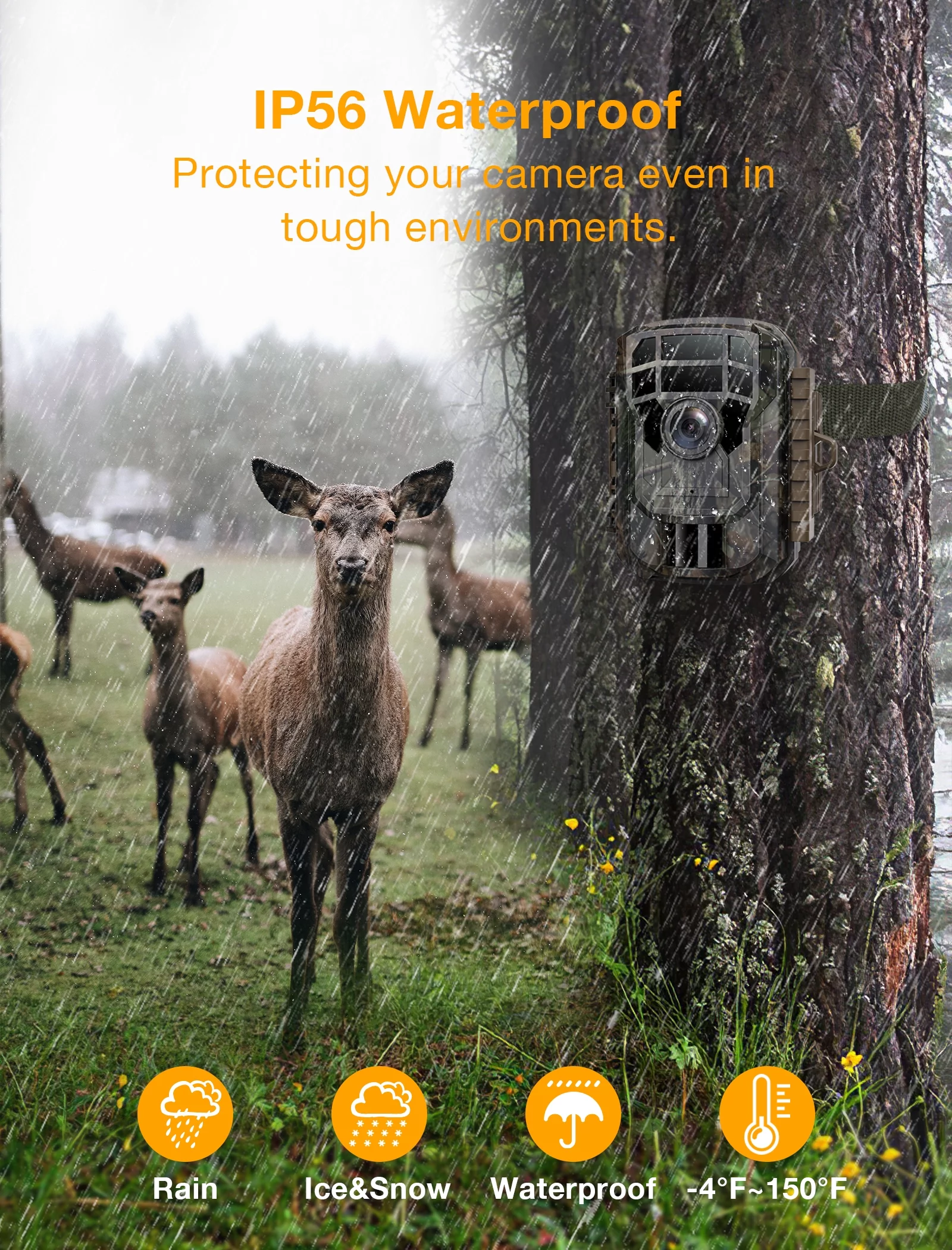 CAMPARK Trail Camera with SD Card and Batteries 24MP 1080P Game Hunting Camera with Night Vision Waterproof