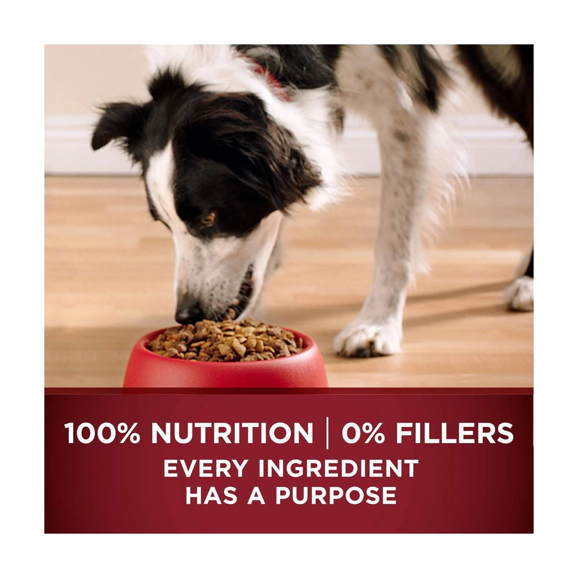 Purina ONE True Instinct With A Blend Of Real Turkey and Venison Dry Dog Food - 7.4 lb. Bag (Pack of 32)