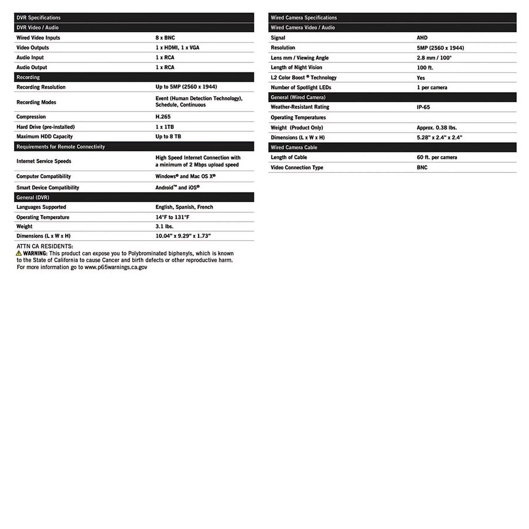 Night Owl Test Item 2