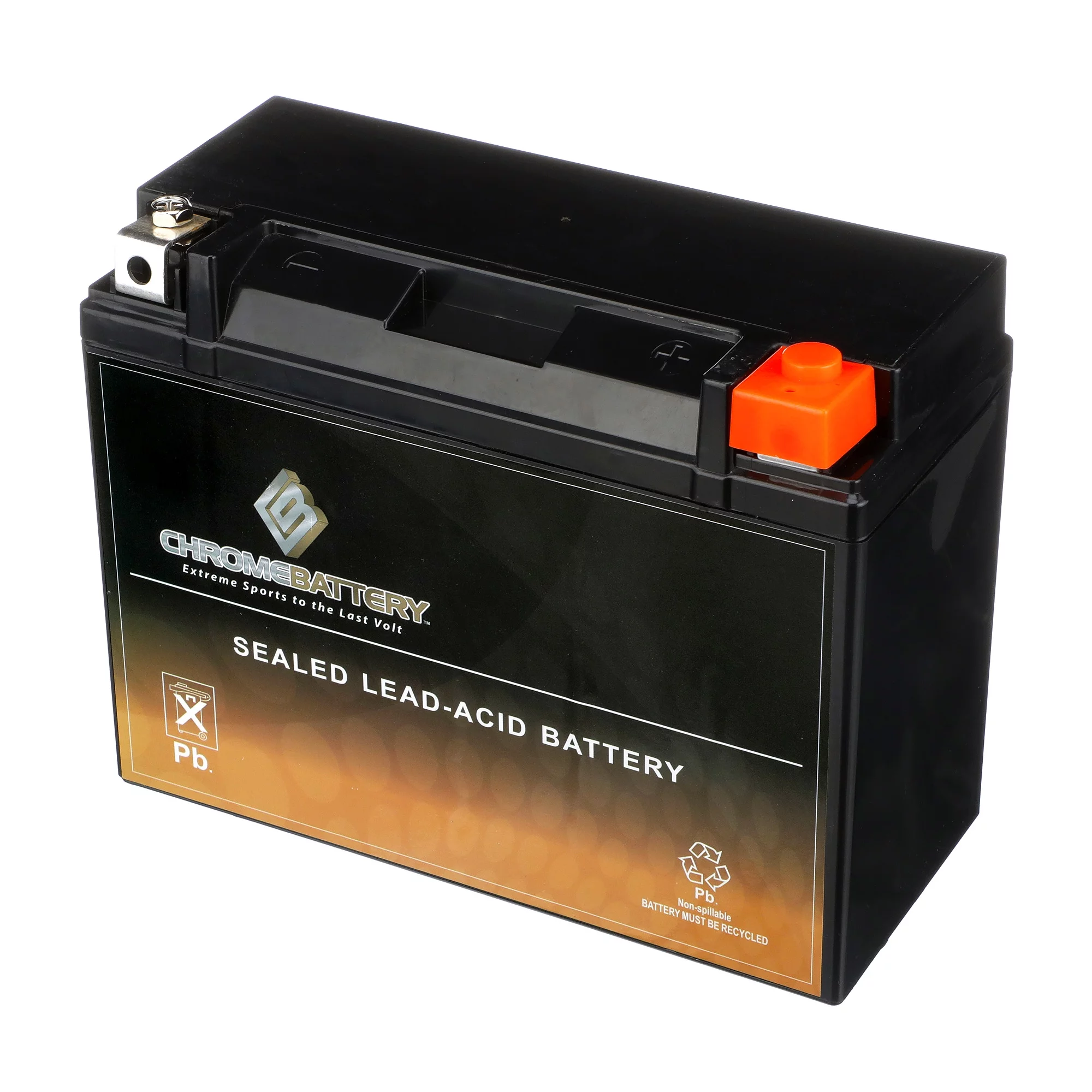 Chrome Battery YTX24HL-BS (24HL-BS 12 Volt,21 Ah, 260 CCA) Motorcycle Battery for Honda 1500cc Gl1500 Gold Wing 1990