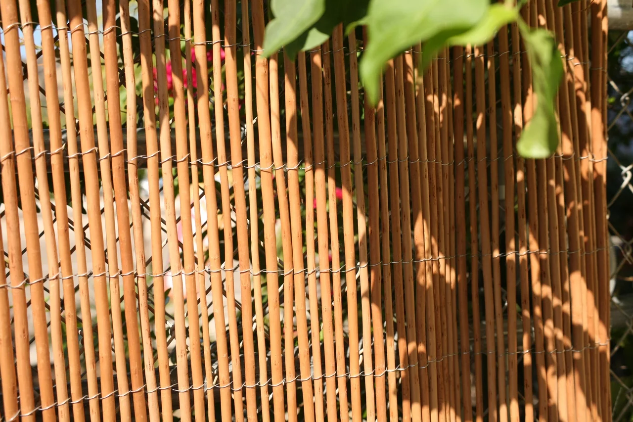 Backyard X-Scapes Natural Peeled Willow Fencing Rolled Panel Fence 6 ft H x 8 ft H