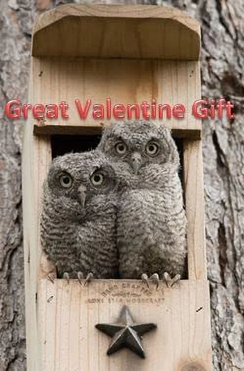 Screech Owl House - Nesting Box - Rectangular Opening