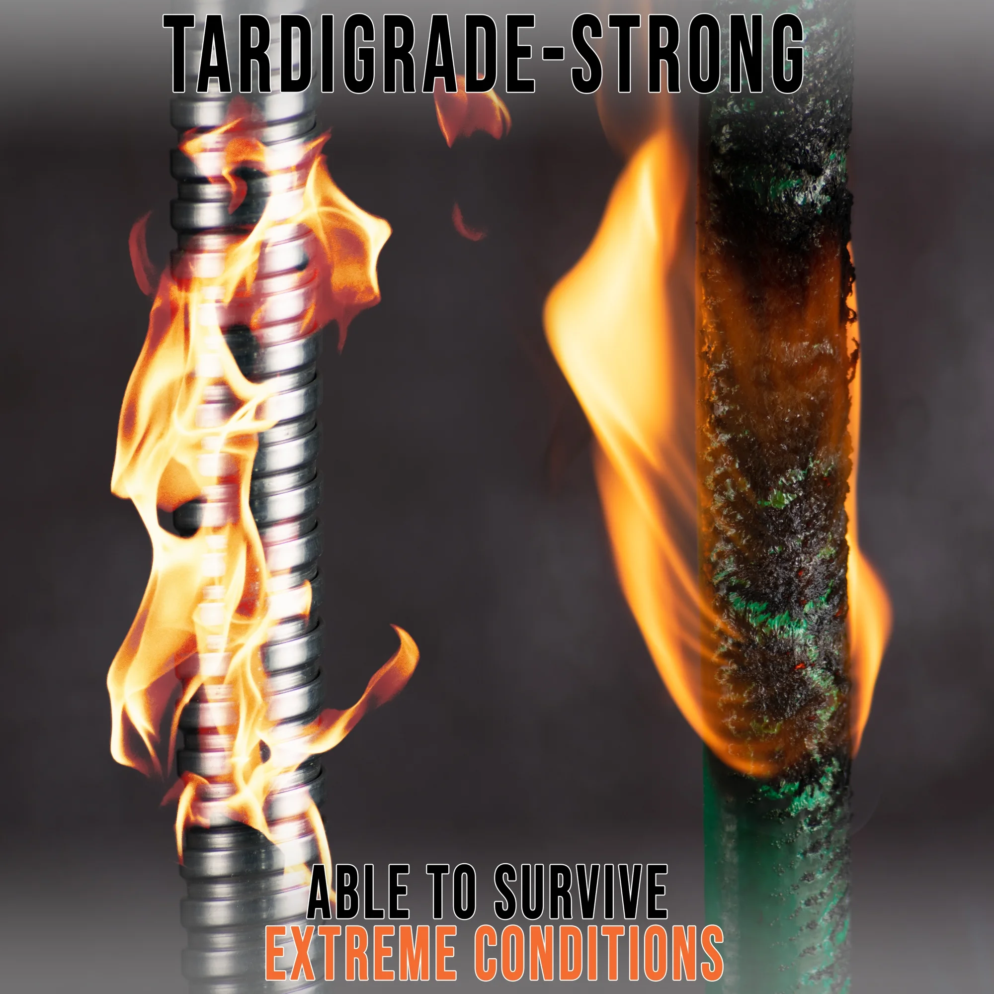 Tardigrade Steel Hose - Garden Hose 50 FT - Made of Metal - Heavy Duty Stainless Steel - Outdoor Water Hoses