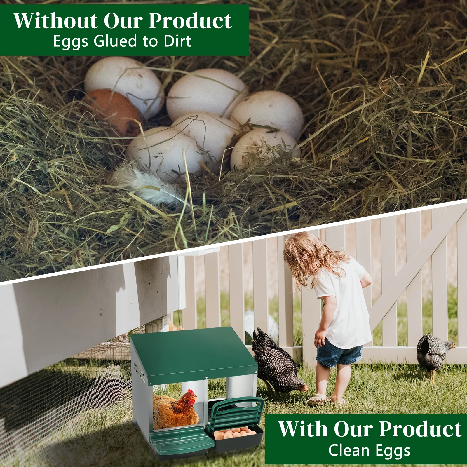 2 Compartment Roll Out Chicken Nesting Box with Plastic Basket, Easy Egg Collection, Durable Chicken Coop Solution, Green