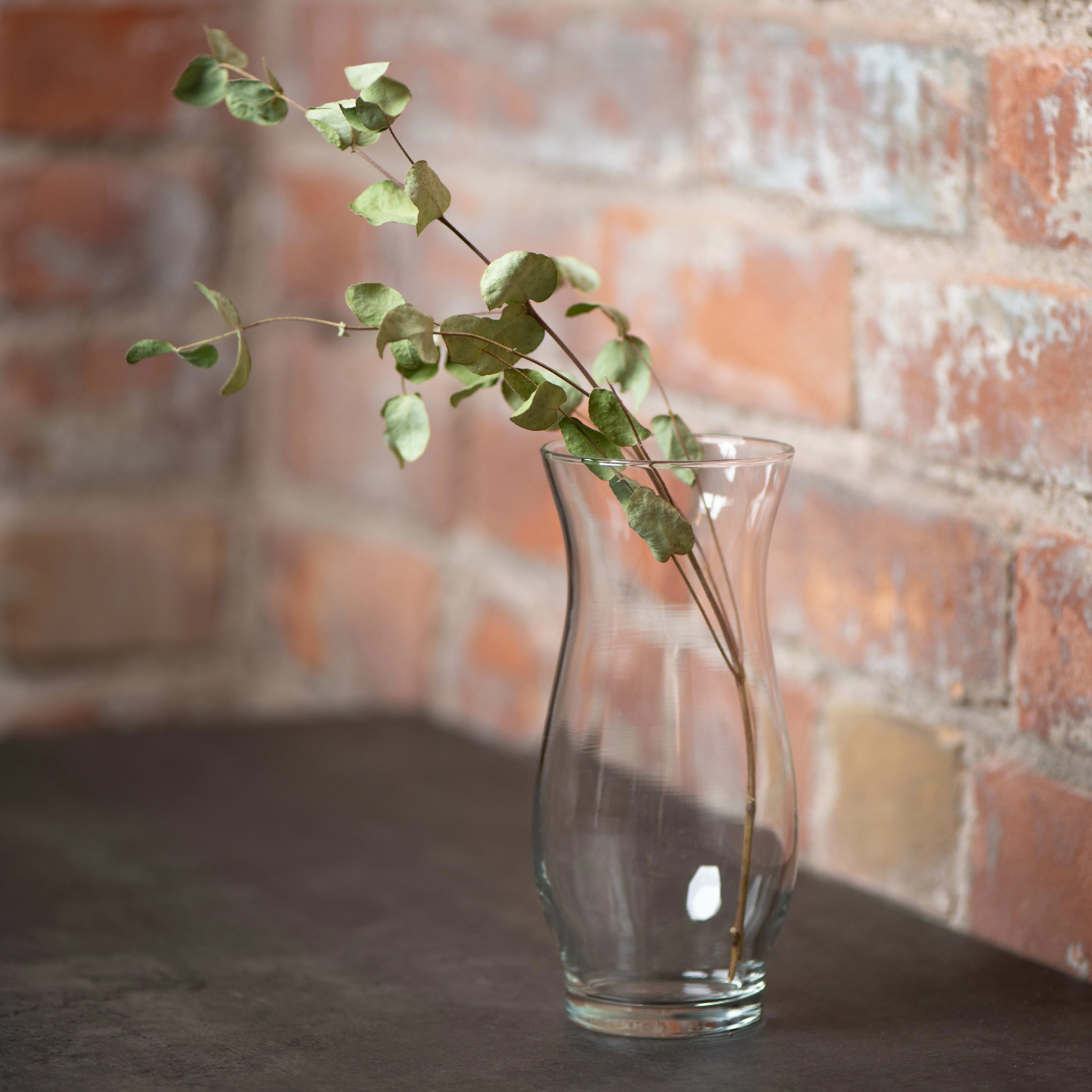 Libbey Hana Glass Vase, 8.5-inch, Set of 4