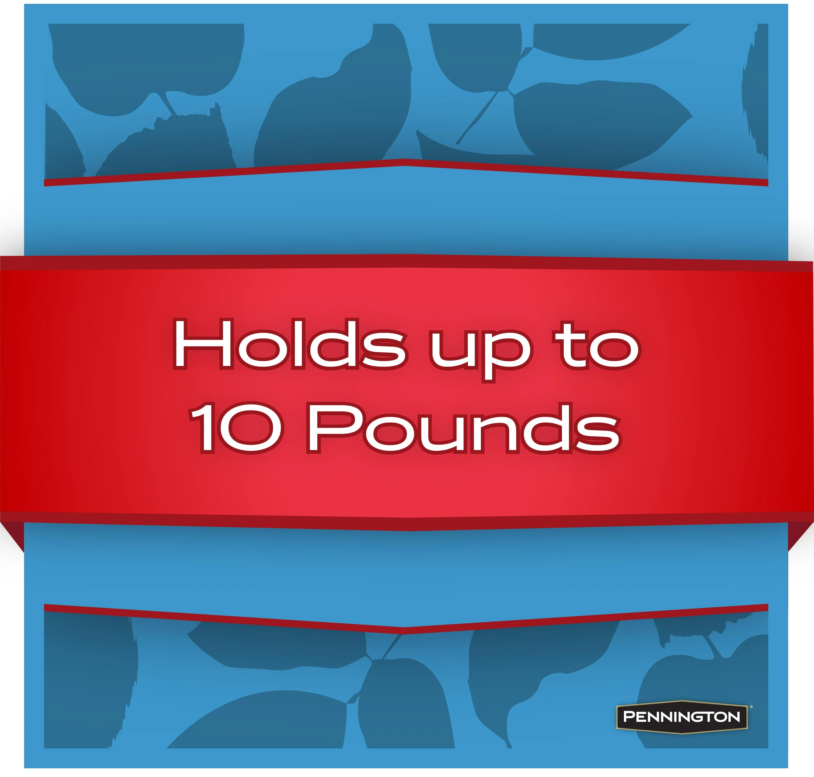 Pennington Earth Smart Red Recycled Resin Grand Ecozebo Wild Bird Feeder,  Jumbo 10 lb. Capacity, 1 Pack