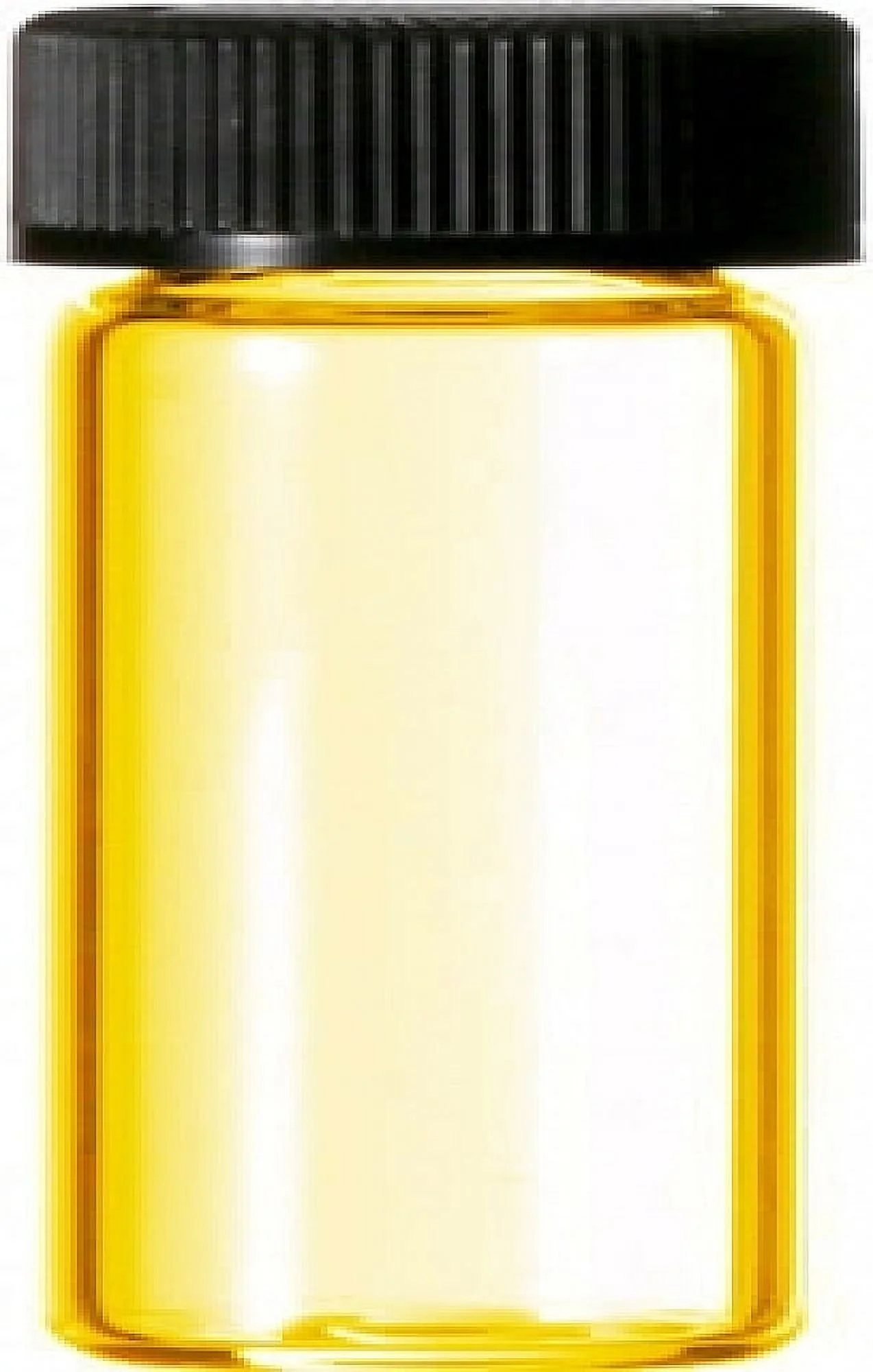 Escape - Type For Women Perfume Body Oil Fragrance [Regular Cap - Clear Glass - Gold - 1/8 oz.]