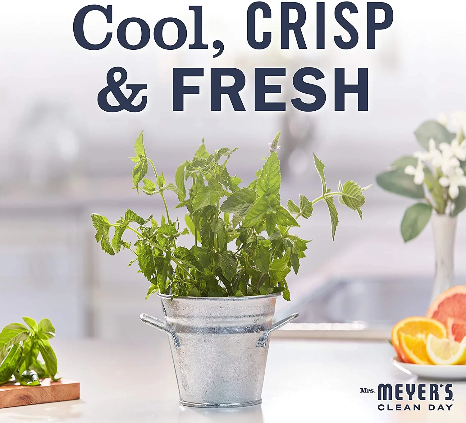 Mrs. Meyers Mint Kitchen Basics Bundle: 3 items 1 Dish Soap, 1 Hand Soap, 1 Everyday Cleaner