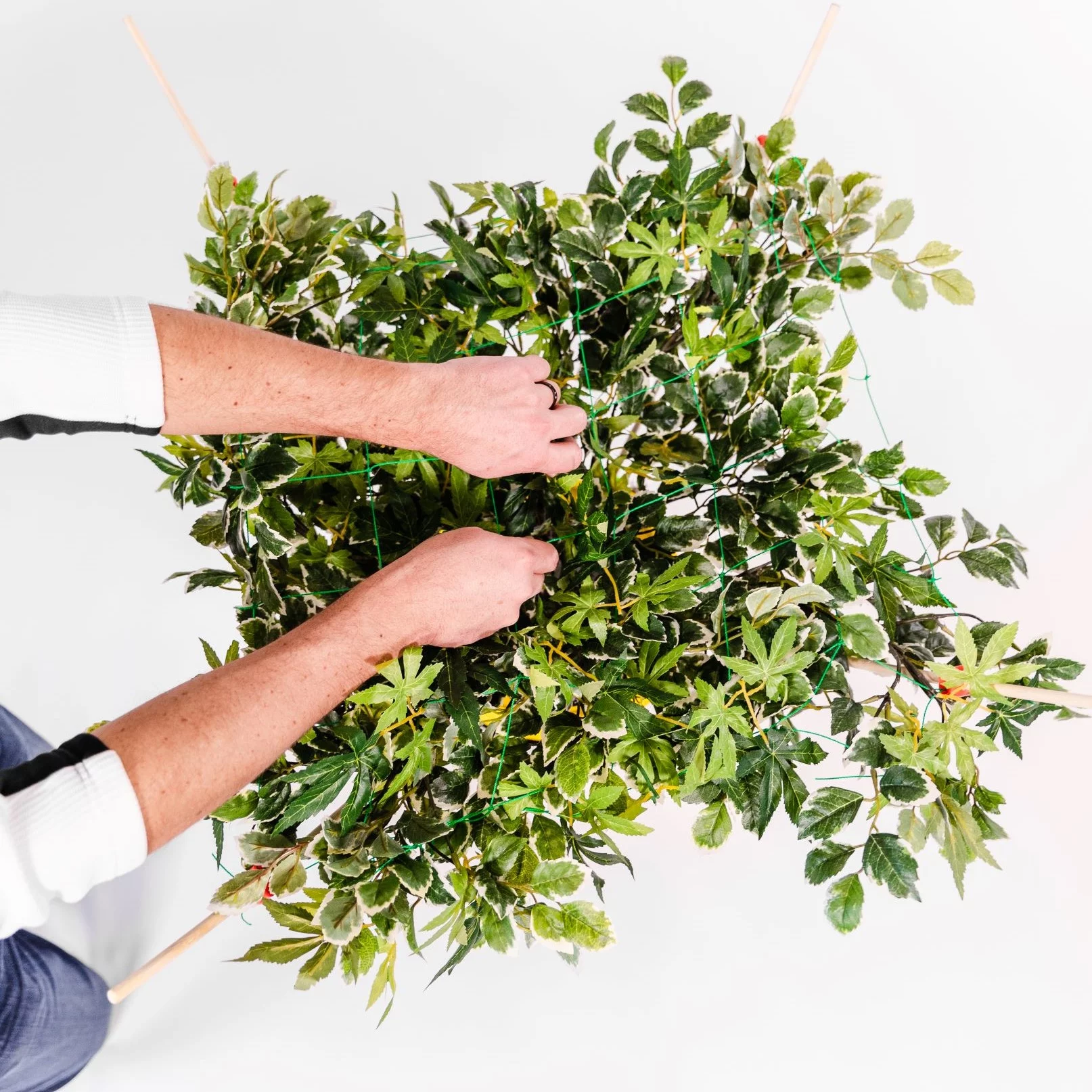 Urban Garden Tech GrowMax Expandable Scrog Trellis (up to 12 sq ft)