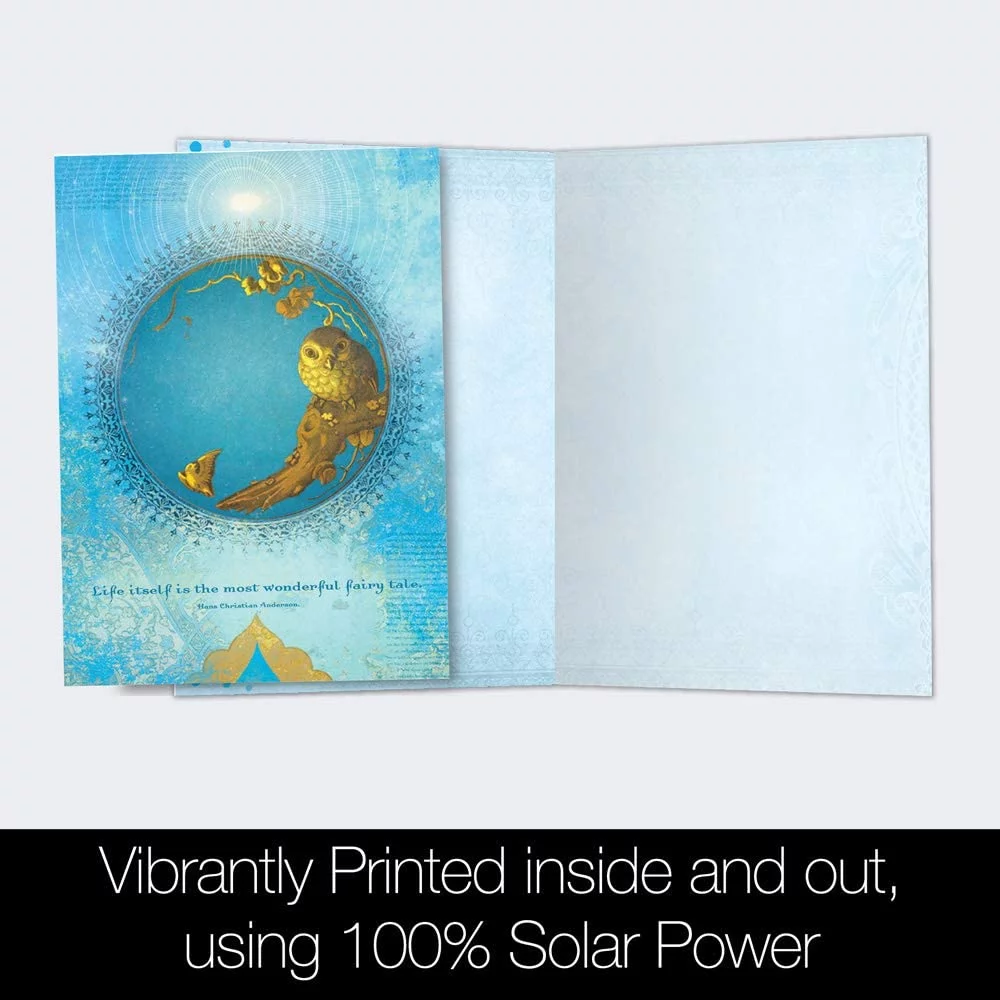 Tree-Free Greetings All Occasion Greeting Card 12 Pack, 4x6, Life Itself (FS66557)