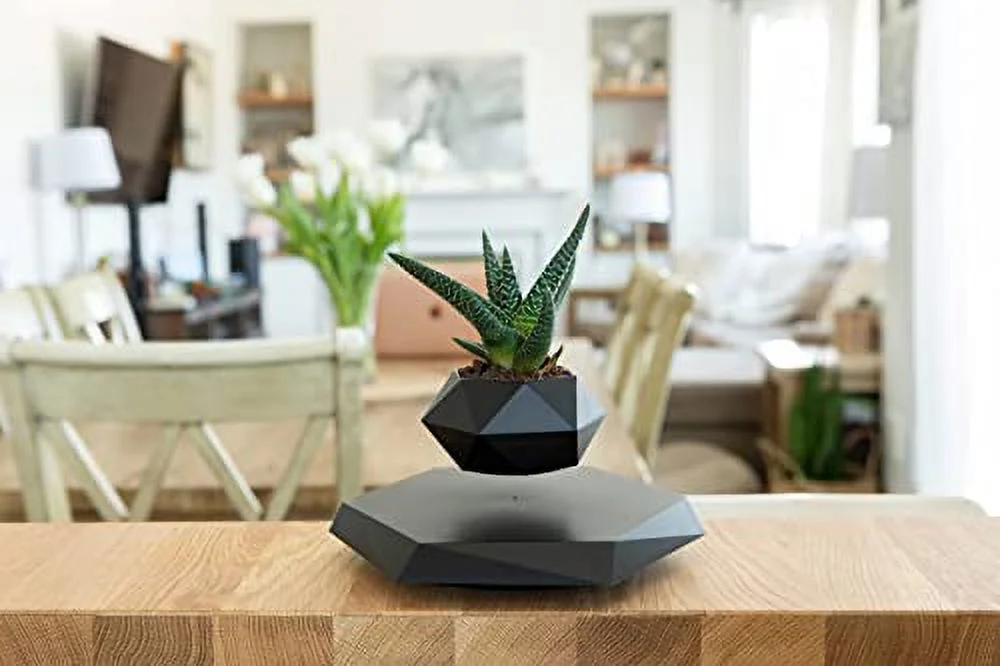 BandD Levitating Plant Pot - Floating Plant Pot for Small Plants. Levitating Decor for Home & Office Magnetic Floating Levitating Display (Black)