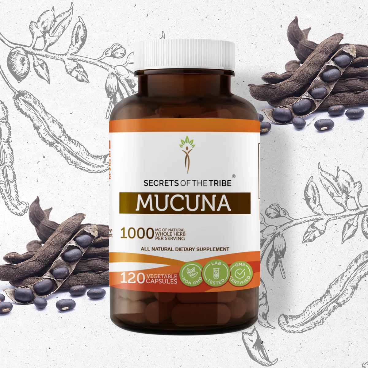 Secrets of the Tribe Mucuna 120 Capsules, 500 mg, Organic Mucuna (Mucuna Pruriens) Dried Seed
