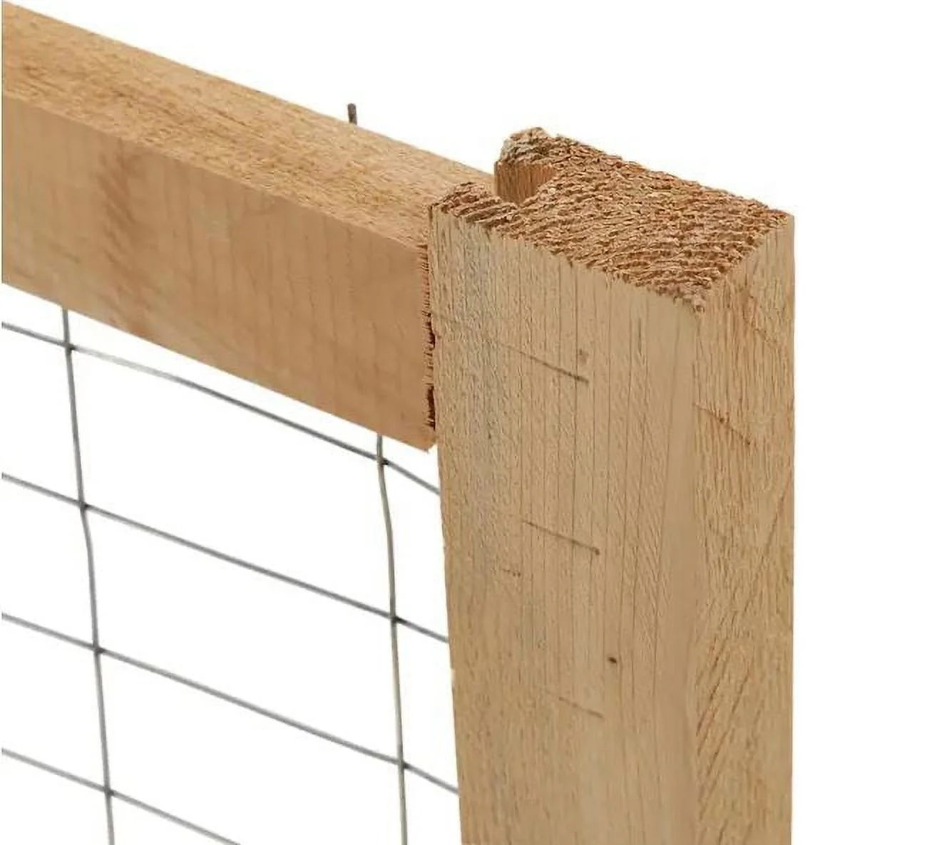 Greenes Fence CritterGuard 23.5 in. Cedar Garden Fence (2 Pack)