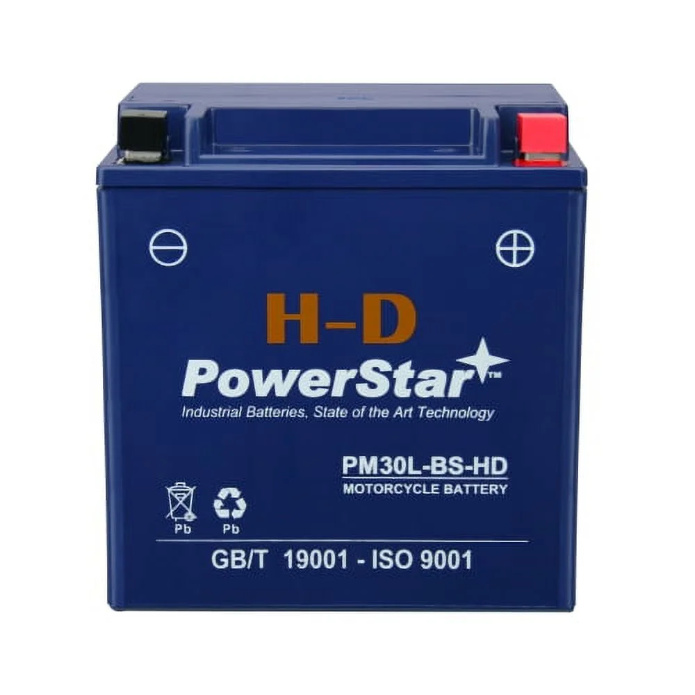 PowerStar 12V 30 Amp Hour YTX30L Battery for Harley-Davidson Motorcycles