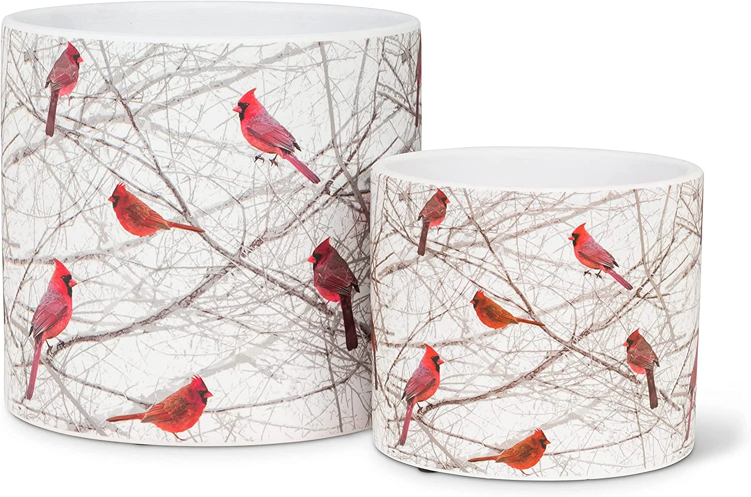 Large Cardinals in Bush Planter
