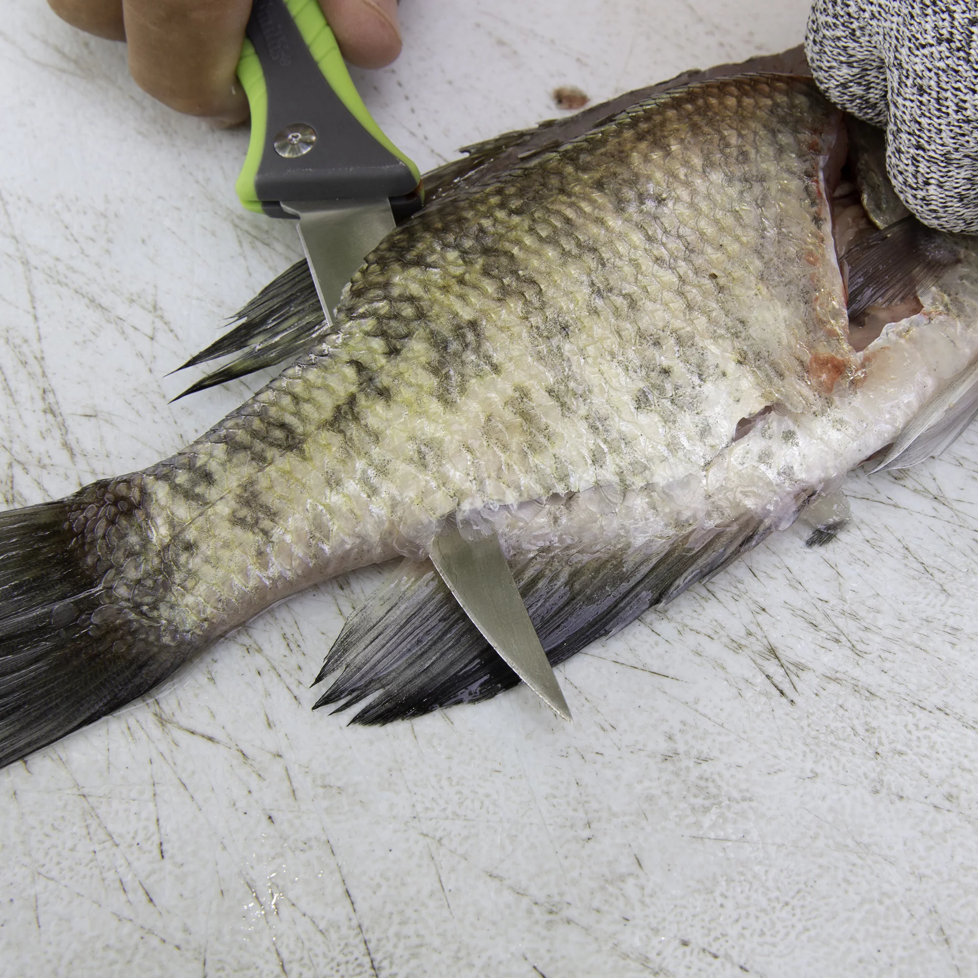 SMITH'S REGALRIVER 51383 4 IN FOLDING FLEX FILLET KNIFE GREEN