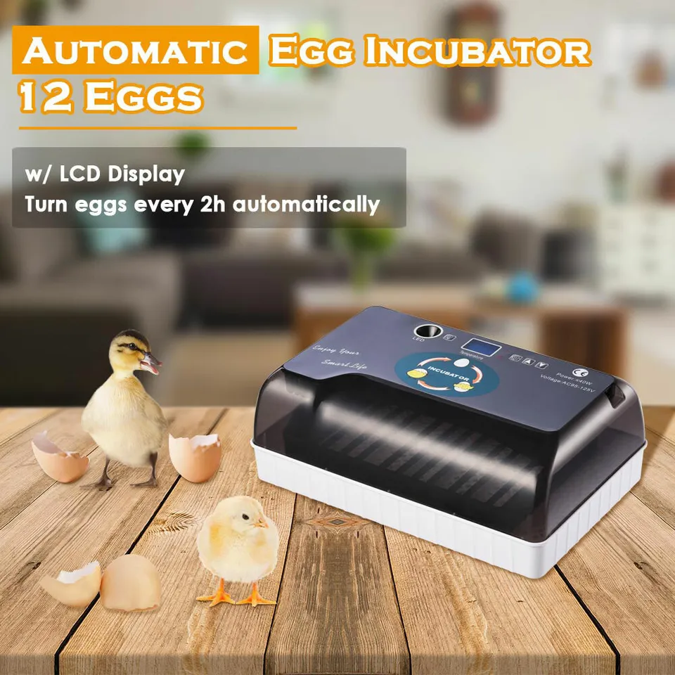 110V Egg Incubator With Automatic Egg Turning And Humidity Control With Turner Farm Innovators For Chickens Ducks Quail Birds (12 Eggs)