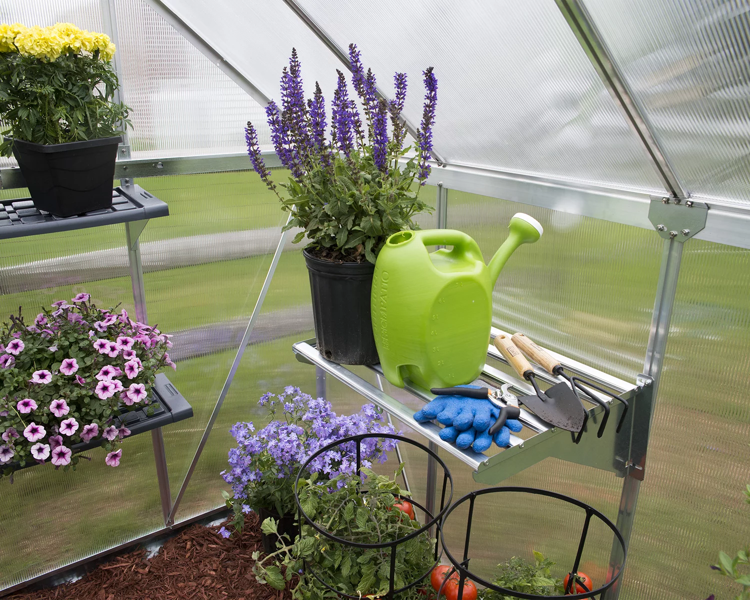 Palram - Canopia Heavy Duty Greenhouse Shelf Bundle (4 Shelves)