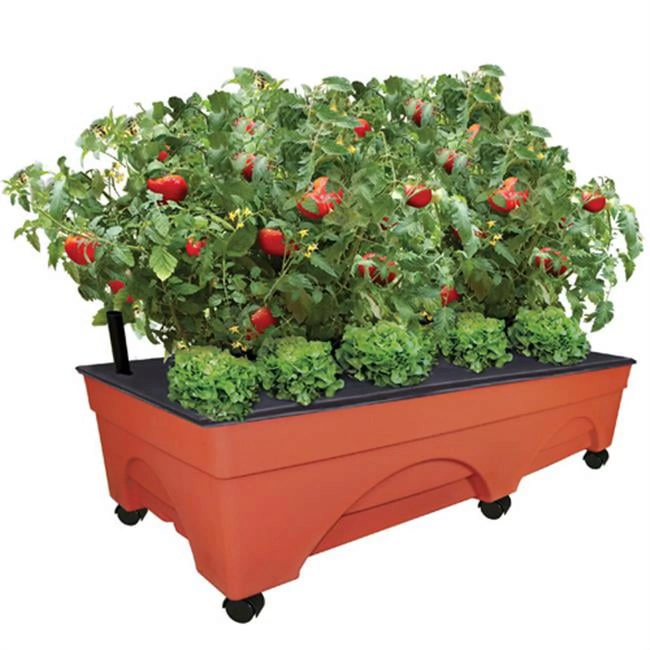 EMSCO Group 3340 Big City Picker Raised Bed Grow Box