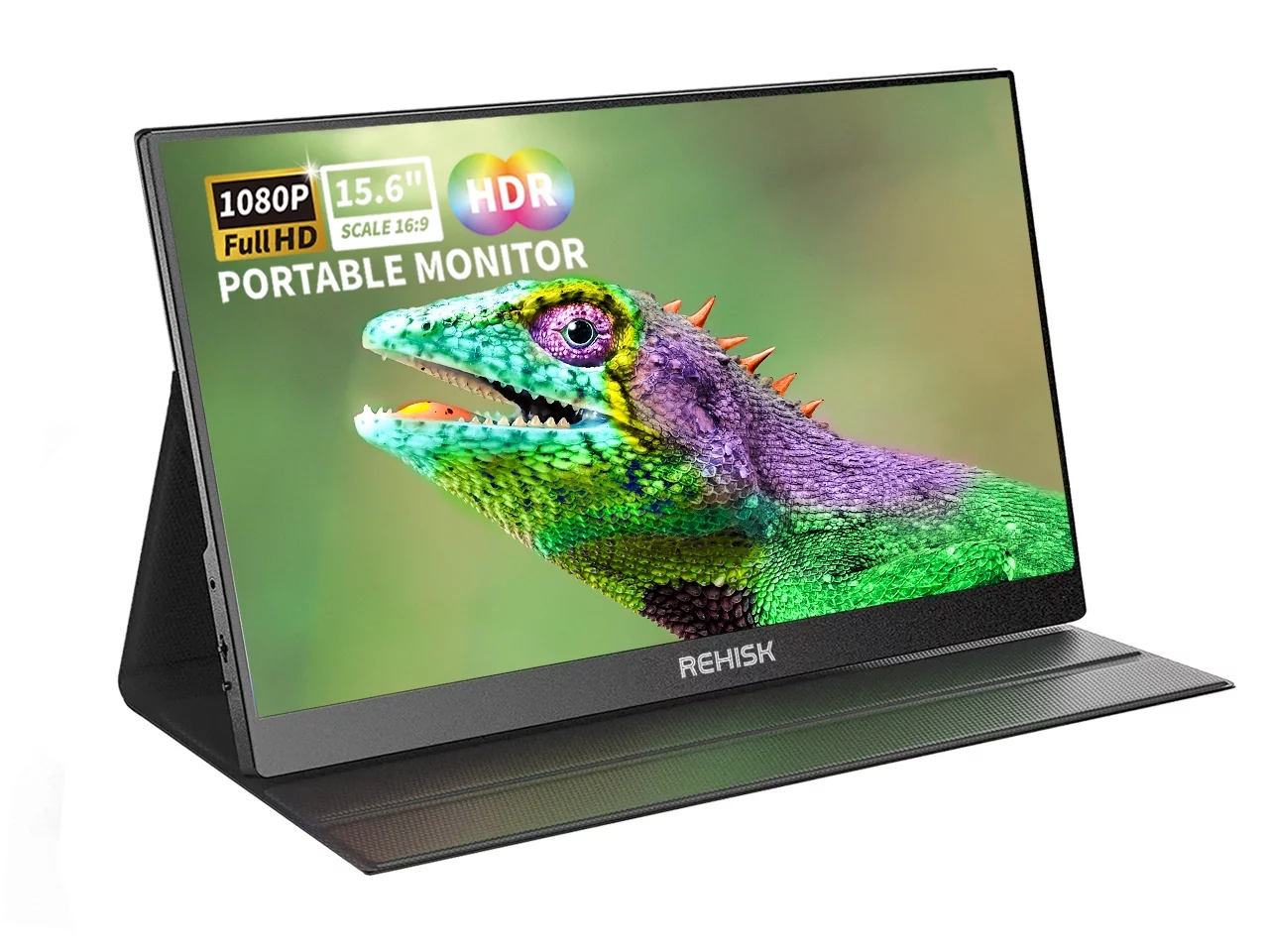 REHISK 15.6 inch IPS Portable Monitor FHD 1080P Laptop Monitor 100% SRGB with HDMI USB C Gaming Monitor