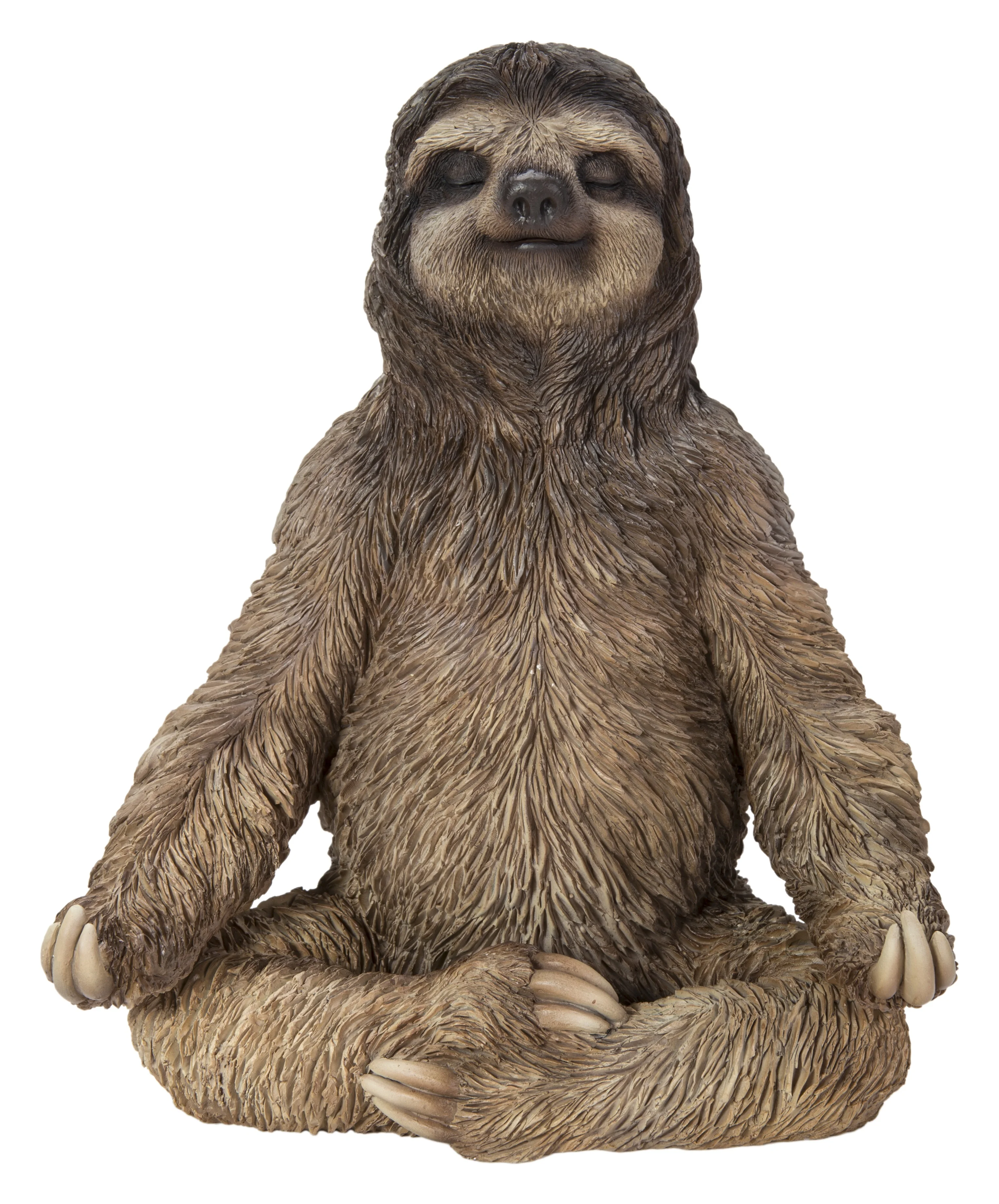 SLOTH IN MEDITATION