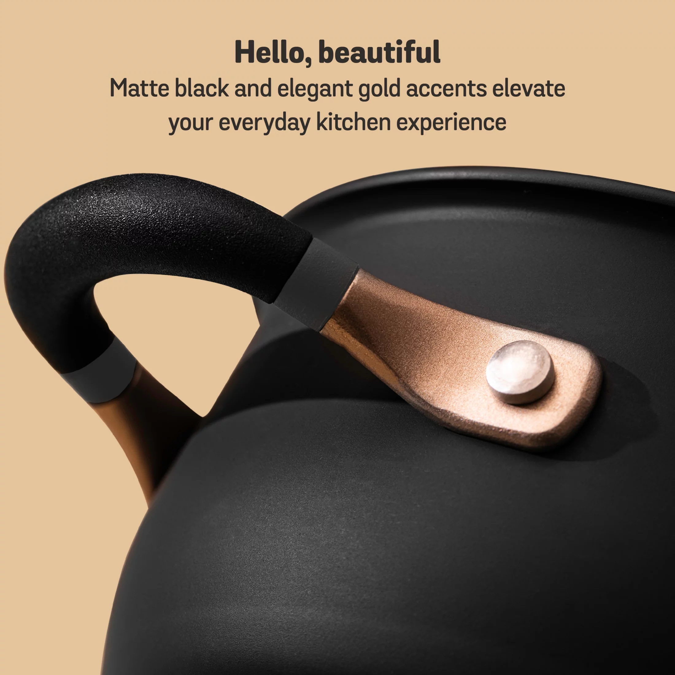 Meyer Accent Series Stainless Steel Stockpot, 6.5-Quart, Matte Black