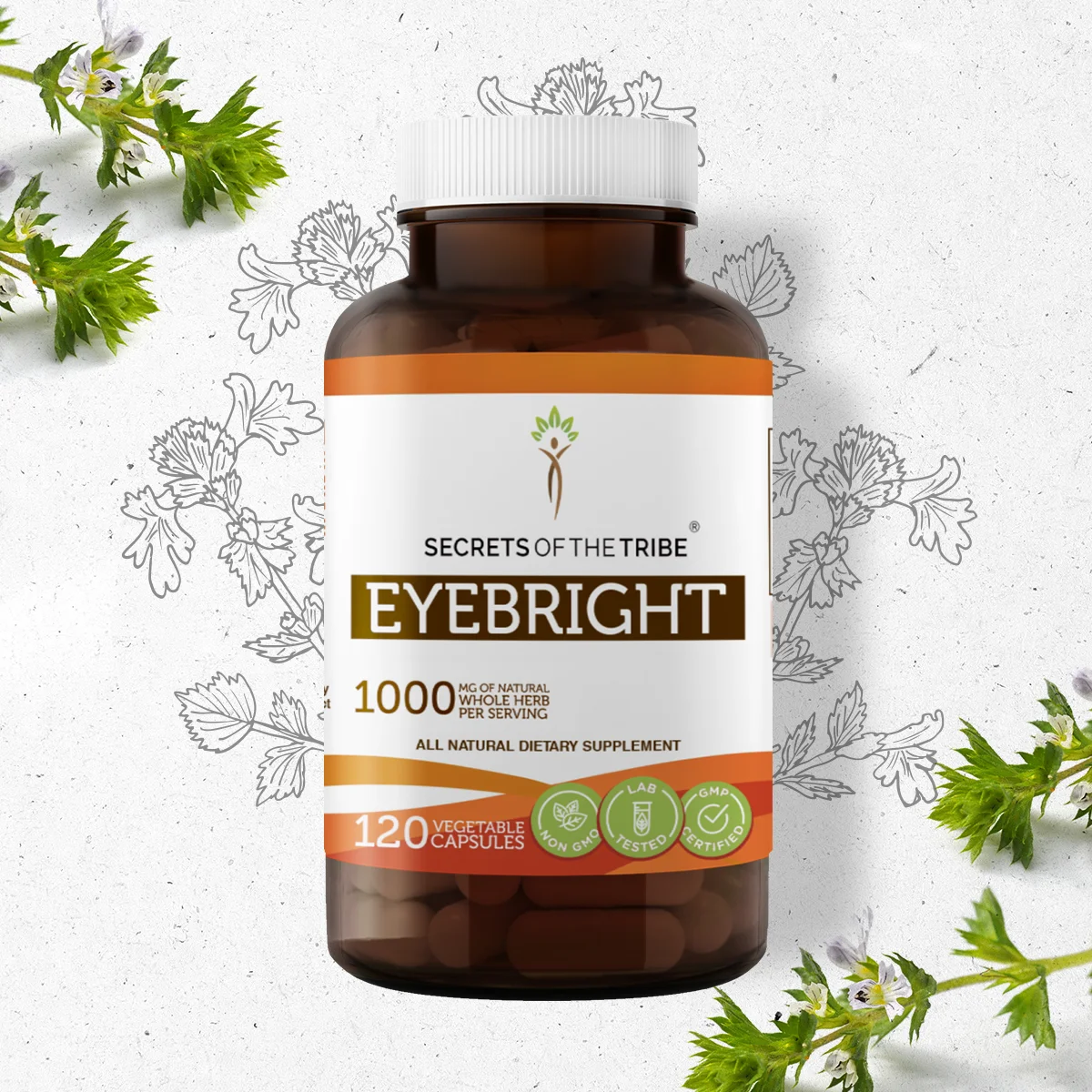 Secrets of the Tribe Eyebright 120 Capsules, 500 mg, Responsibly farmed organic Eyebright (Euphrasia officinalis) Dried Herb