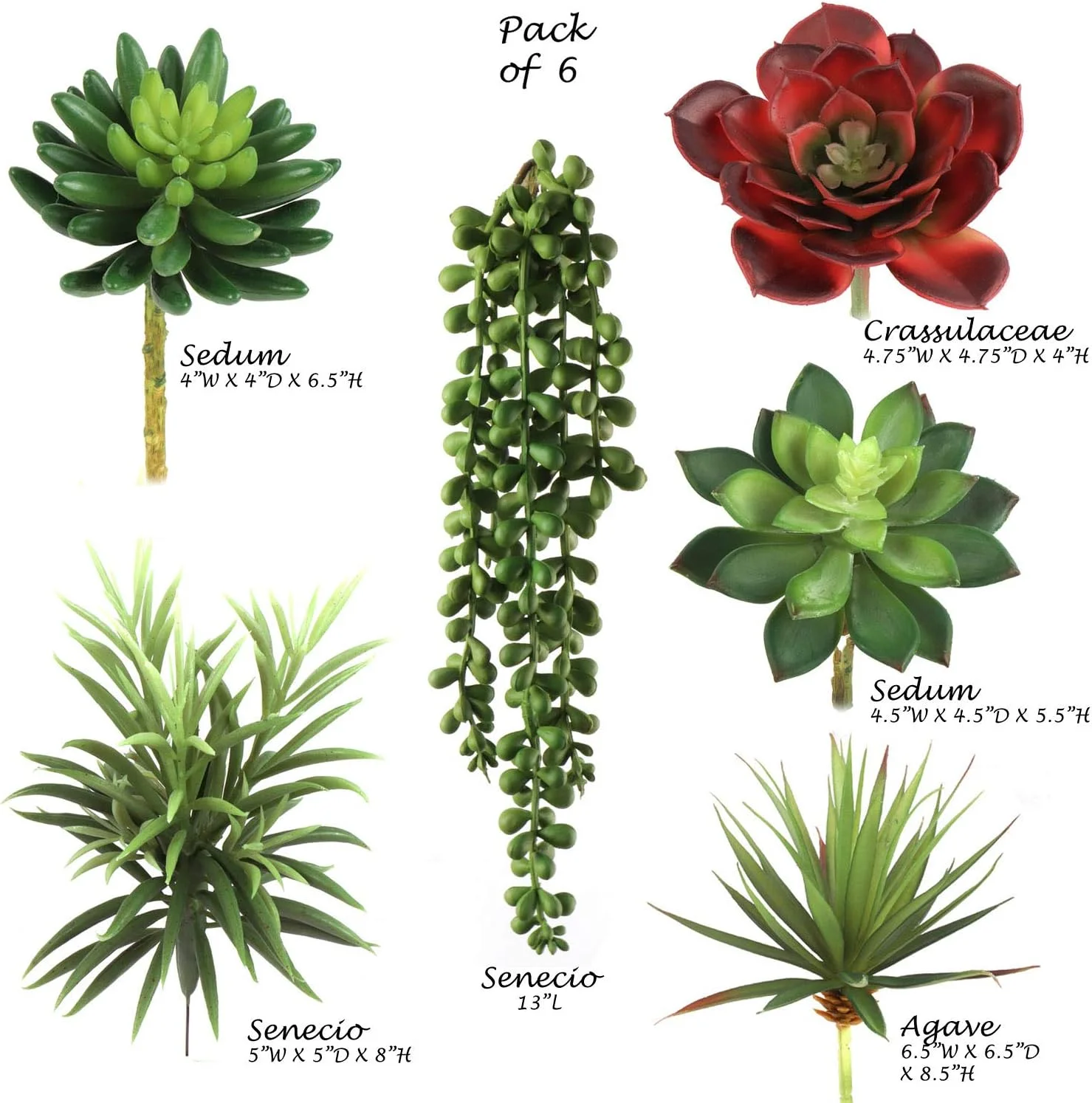 Six Pack Succulent Set, 6 Individual Picks, Natural Sized Artificial Plants, Aloe, Hanging Pearl For Arrangements, Pots, And School Projects