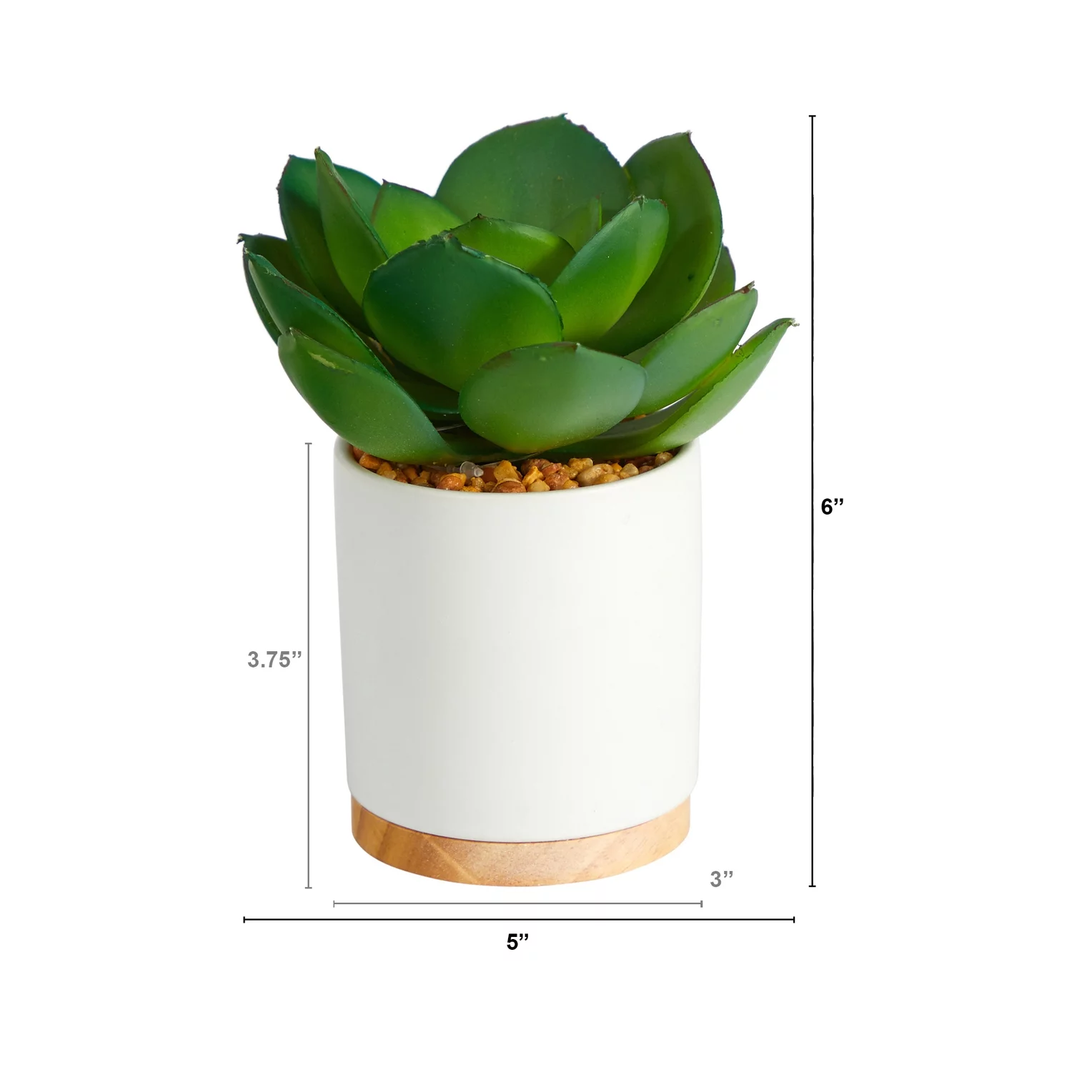 Nearly Natural P1660 6 in. Succulent Artificial Plant in White Ceramic Planter
