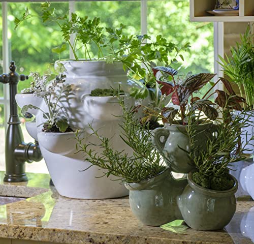 Alfresco Home 31-1535 Eight Pocket Ceramic Strawberry Jar-Lace Pottery