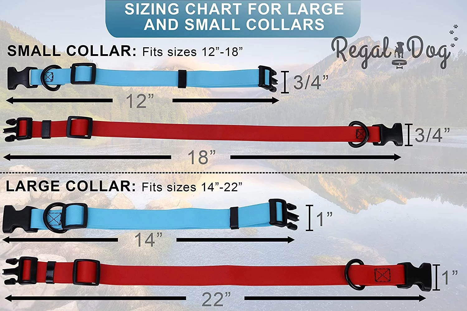 Regal Dog Products Custom Fit Waterproof Dog Collar with High Strength Buckle & Heavy Duty Ring - Training Dog Collar