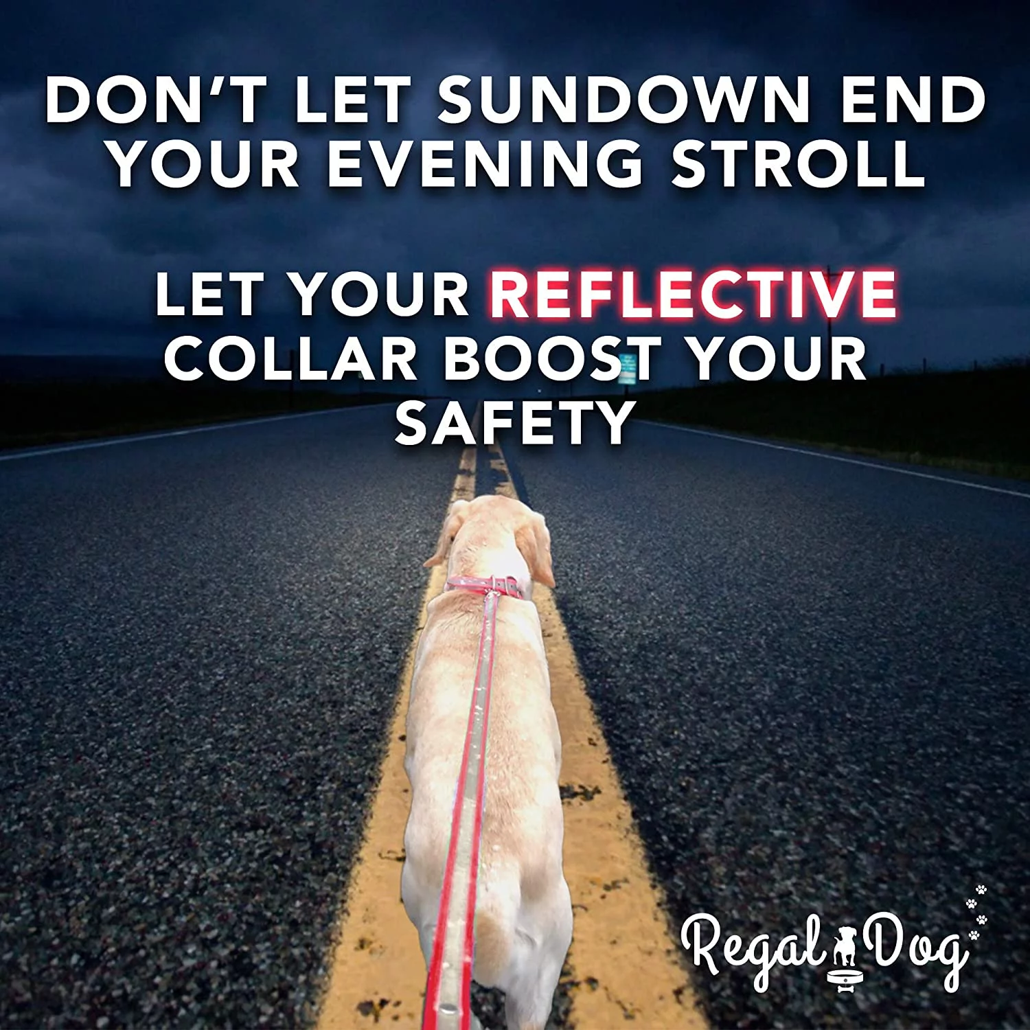 Heavy Duty Reflective Dog Collar – Adjustable Dog Collar with Durable Metal Buckle and Center Ring, Anti-Odor, chew Resistant, Waterproof Dog Collar for Small, Medium and Large Dogs